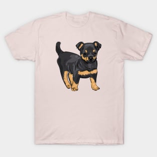 Lancashire Heeler dog puppy T-Shirt